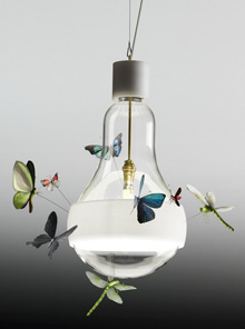 Ingo Maurer J.B. Schmetterling Lamp Graham Owen