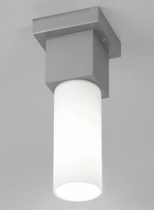 Artemide Dupla Fluorescent Modern Indoor or Outdoor Ceiling Lamp