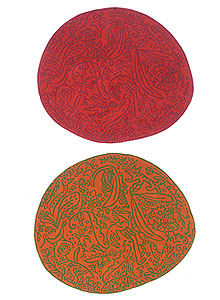 Nanimarquina Bichos y Flores Rug by Javier Mariscal