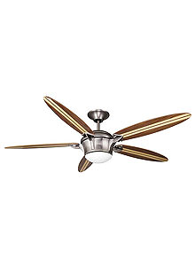 Ellington Surfboard Modern Ceiling Fan