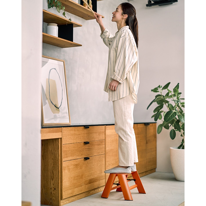 Hasegawa LUCANO 1-Step Stools - Assorted Colors Stardust Modern