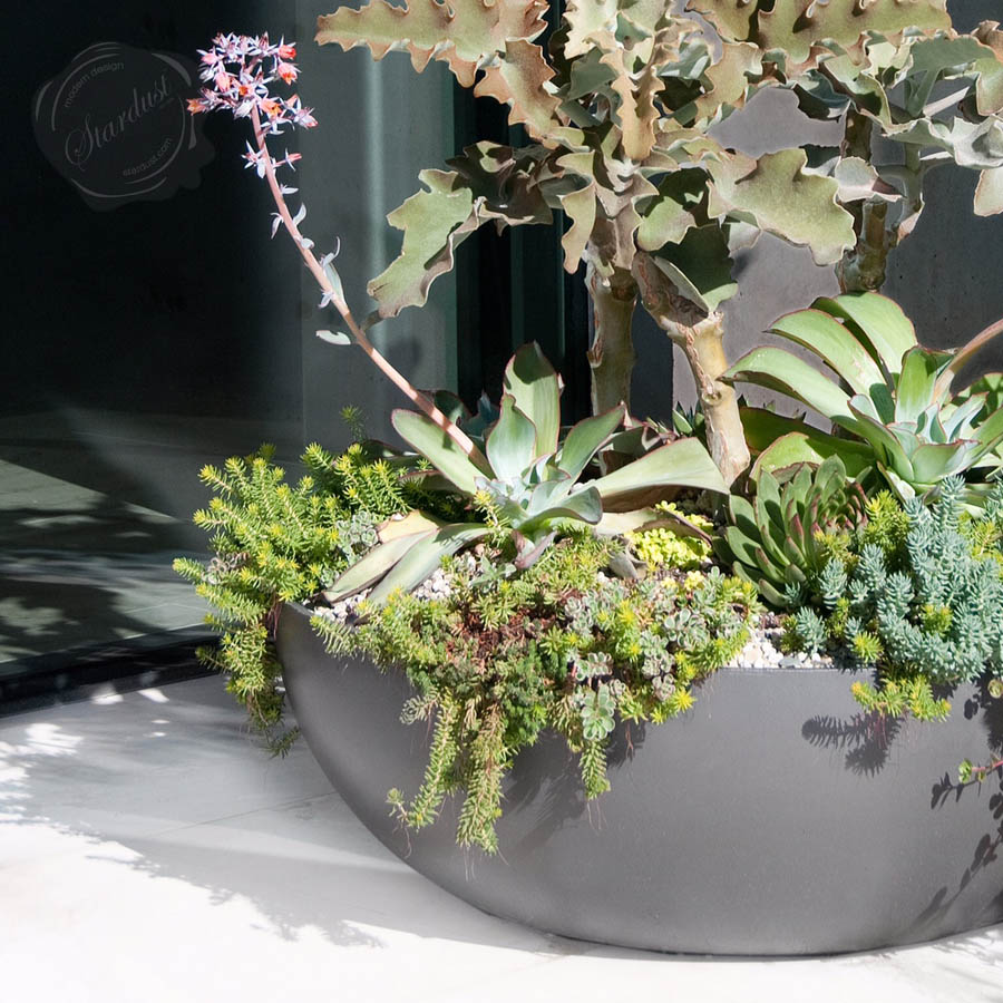 44 54 65 Inch Black Grey Premium Concrete Bowl Planters Pots 44 54 65 Inch Black Grey Premium Concrete Bowl Planters Pots