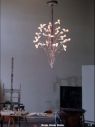 Birds Birds Birds LED Chandelier | Ingo Maurer