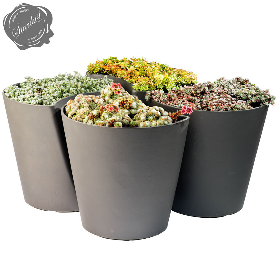 Ginkgo Biloba Contemporary Modern Planter Pot Stardust - Ginkgo Biloba Contemporary Modern Planter Pot ginkgo biloba contemporary modern planter pot stardust - ginkgo biloba contemporary modern planter pot