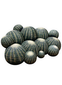 Baleri Italia Cactus Sofa by Maurizio Galante