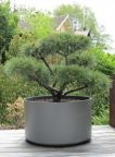 Extra Large Round Outdoor Planter Pot 30"/39" Diameter