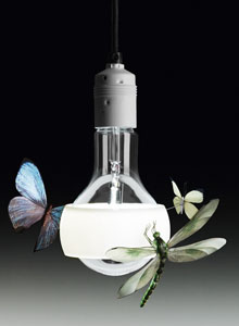 Ingo Maurer Johnny B. Butterfly Modern Pendant Lamp