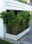 Modern Outdoor Planters: Rectangular Low Planter Pot 18" h