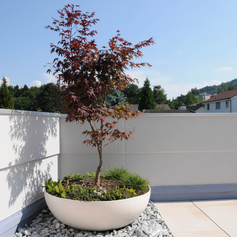 Tree Planters, Large Round Planter