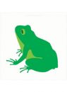Enzo Mari La Rana Green Frog Poster