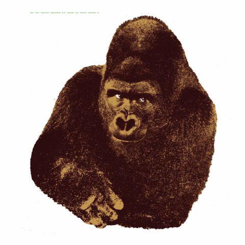 Enzo Mari Gorilla Poster