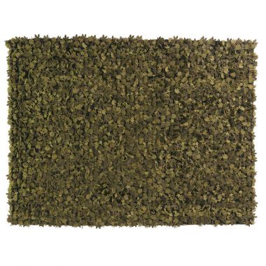 Nanimarquina Little Field of Flowers Rug in Green