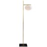 Alba® 63.4-in Glass w/Brass Slim Modern Floor Lamp by Oluce™